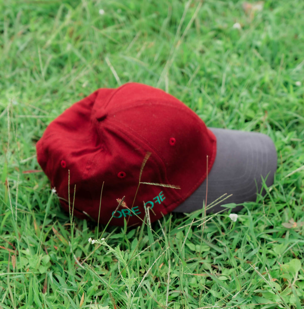 Maroon & Grey Cap