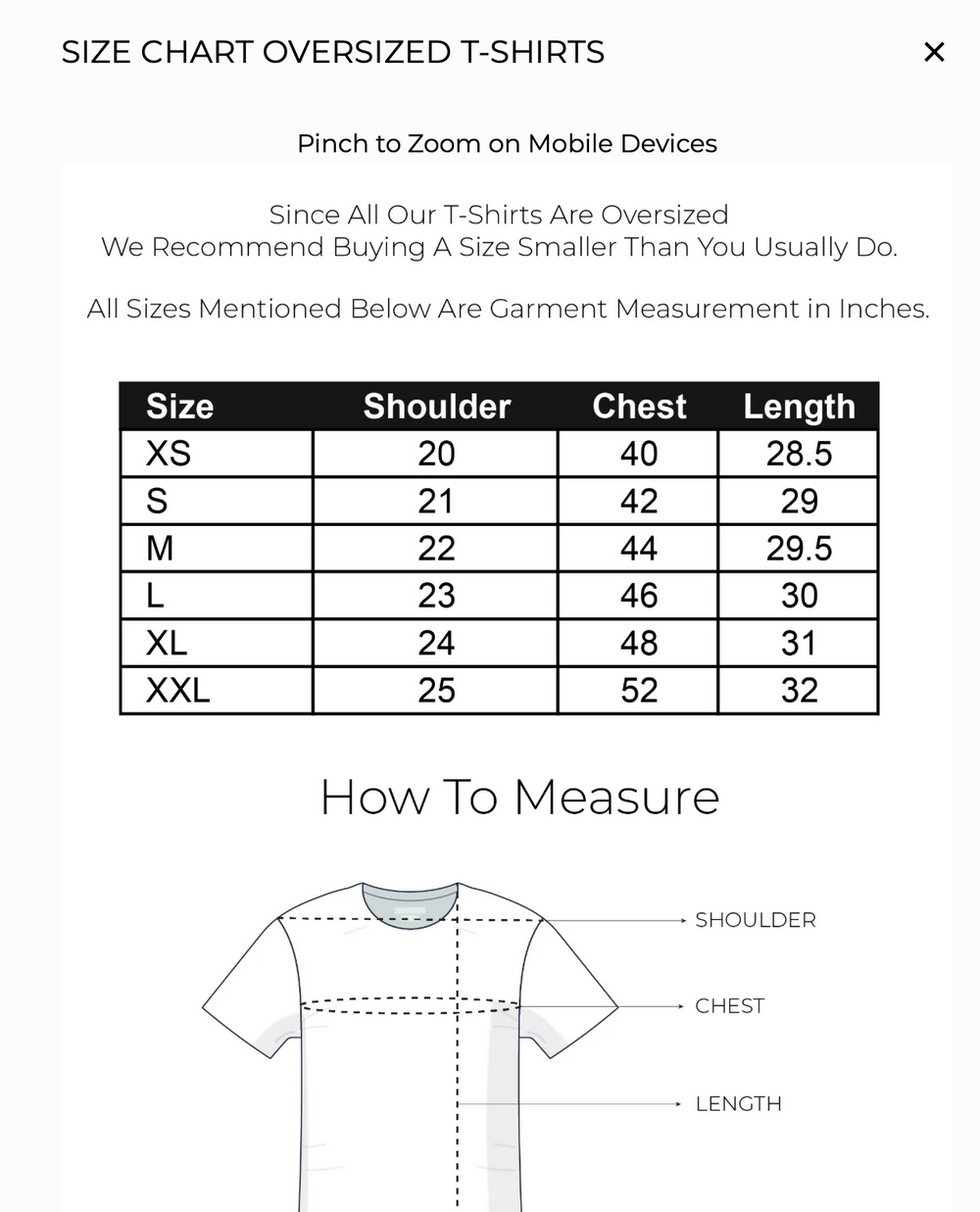 Themesis Oversized Tee